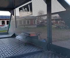 Trött på svin. Köp Lotin bild