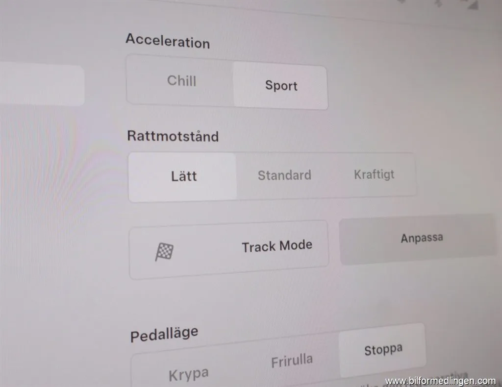 Tesla Model Y AWD Performance 1 ägare, bild 11 av 12
