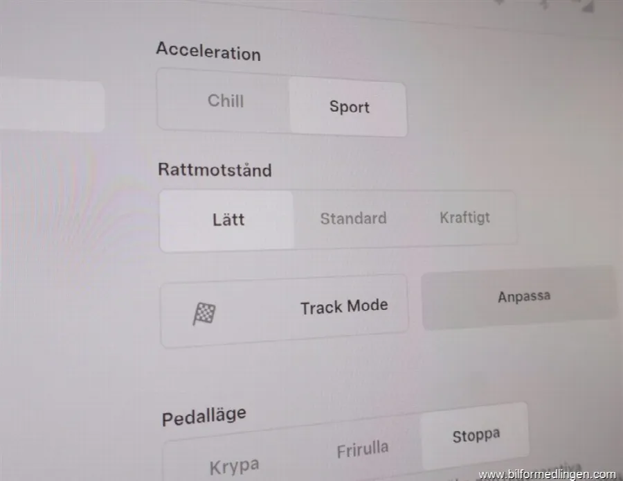Tesla Model Y AWD Performance 1 ägare, bild 11 av 12
