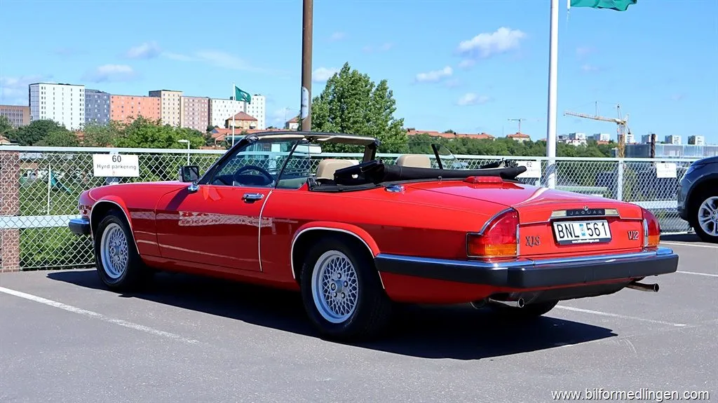 Jaguar XJS 5.3 V12 Convertible Le Mans Edition, bild 3 av 12