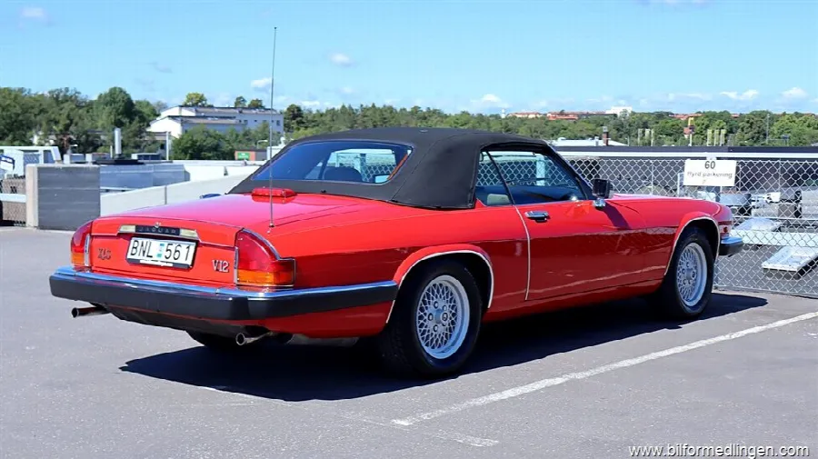 Jaguar XJS 5.3 V12 Convertible Le Mans Edition, bild 8 av 12