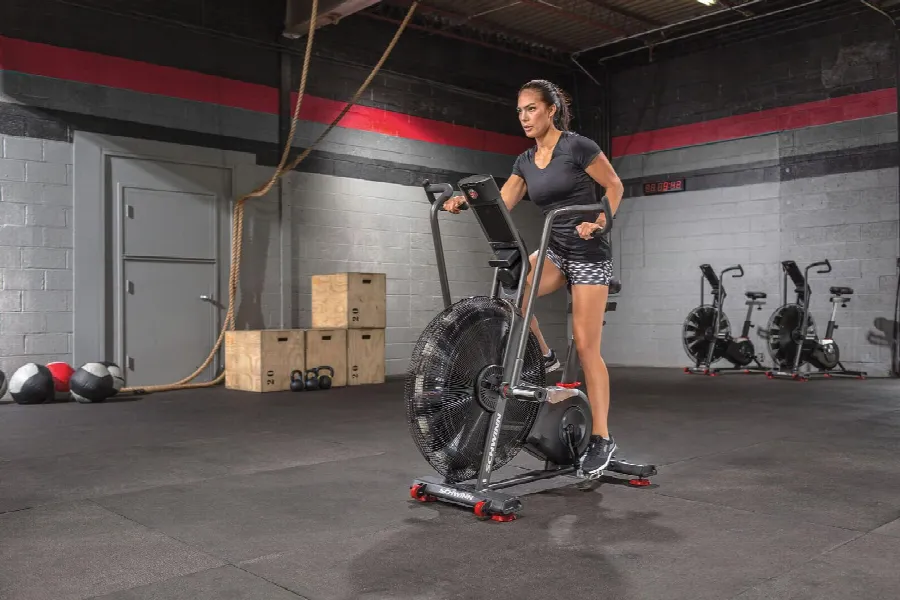 Schwinn Airdyne AD8 Motionscykel, bild 3 av 6