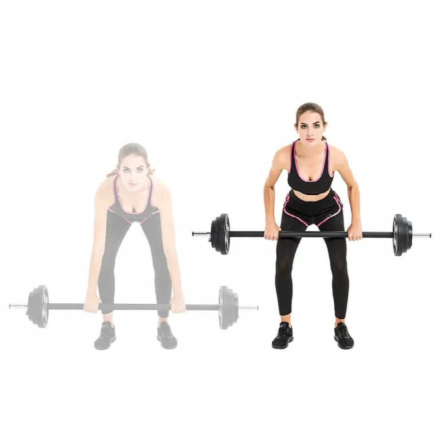 Skivstångsset med vikter 2-19,5 kg Pumpstar, bild 5 av 5